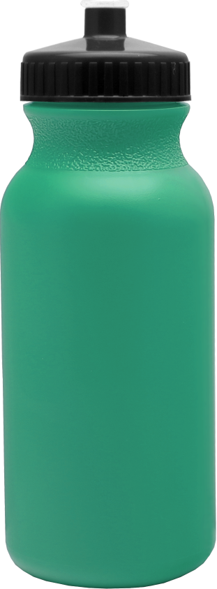 Welly Bottle | Traveler 12 oz Mint / Custom